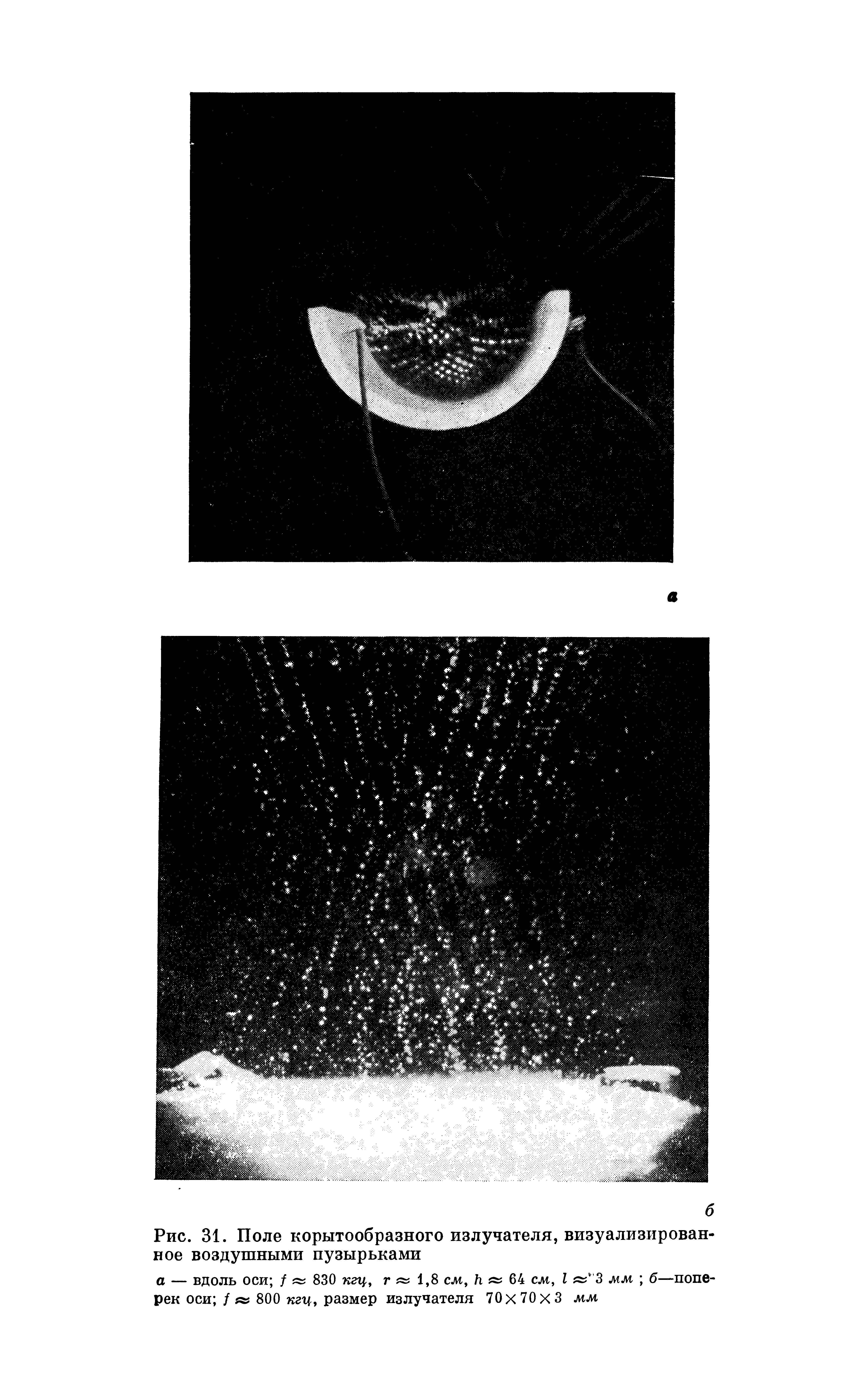 Рис. 31. Поле корытообразного излучателя, визуализированное воздушными пузырьками
