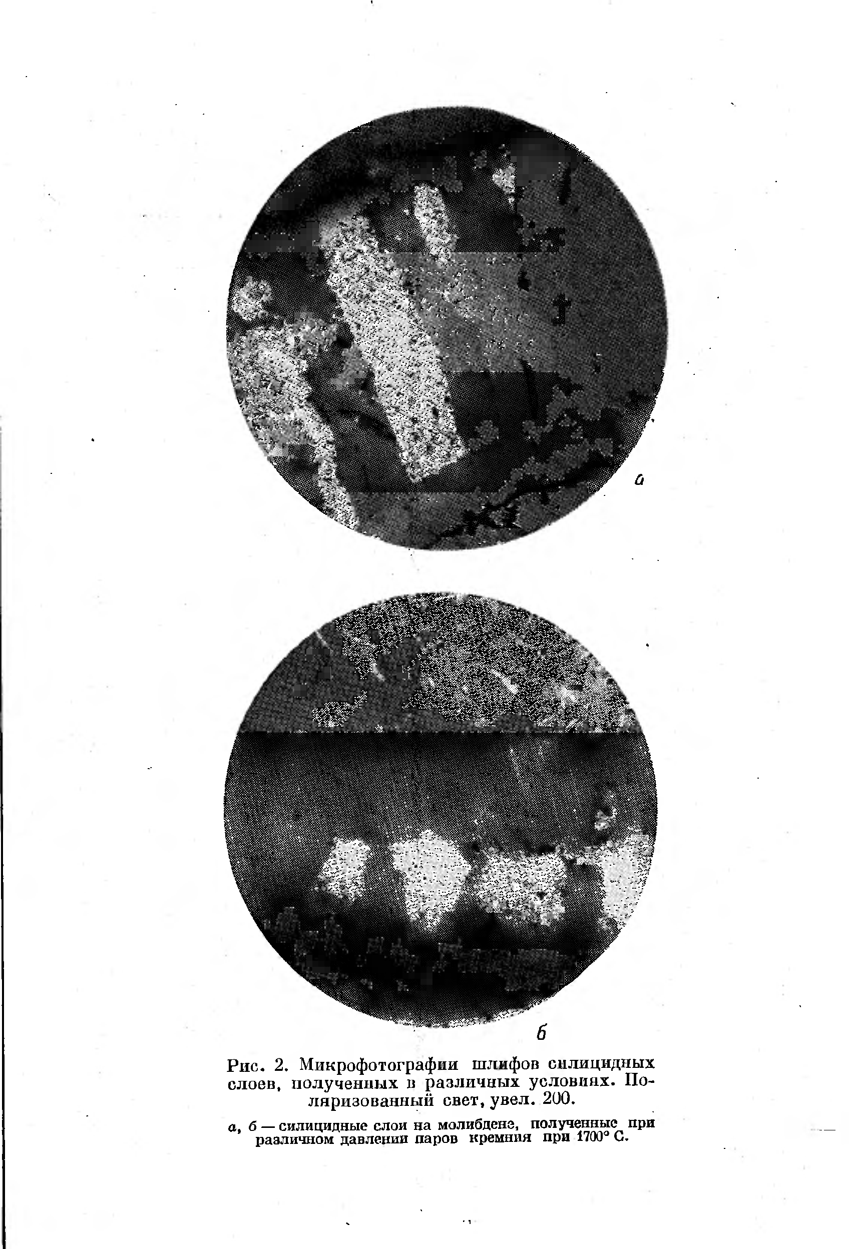 Рис. 2. Микрофотографии шлифов силицидных слоев, полученных в различных услониих. Поляризованный свет, увел. 200.
