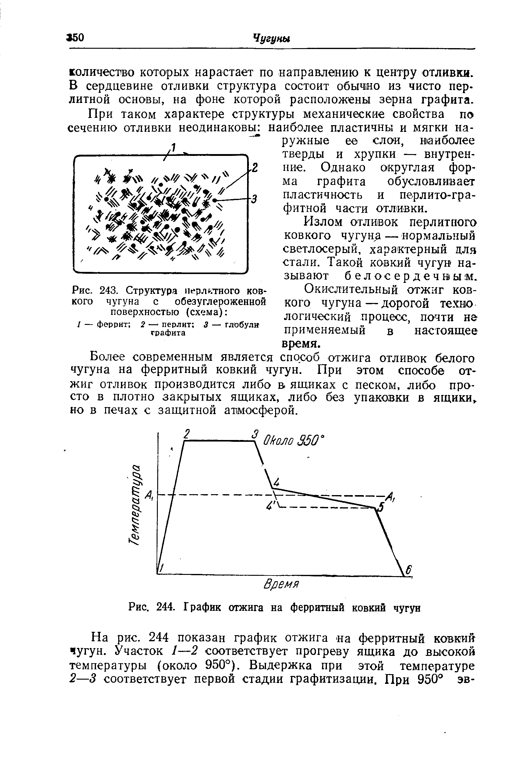 Рис. 243. Структура перлстного <a href="/info/1843">ковкого чугуна</a> с обезуглероженной поверхностью (схема) 
