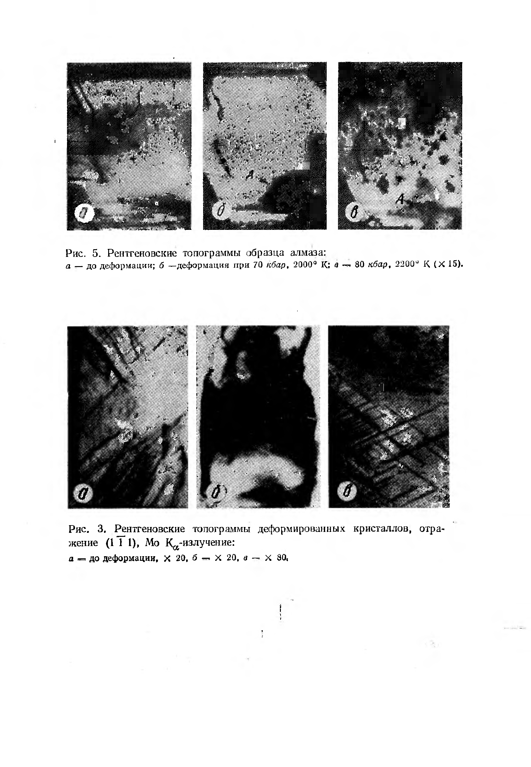 Рис. 5. Рентгеновские топограммы образца алмаза 

