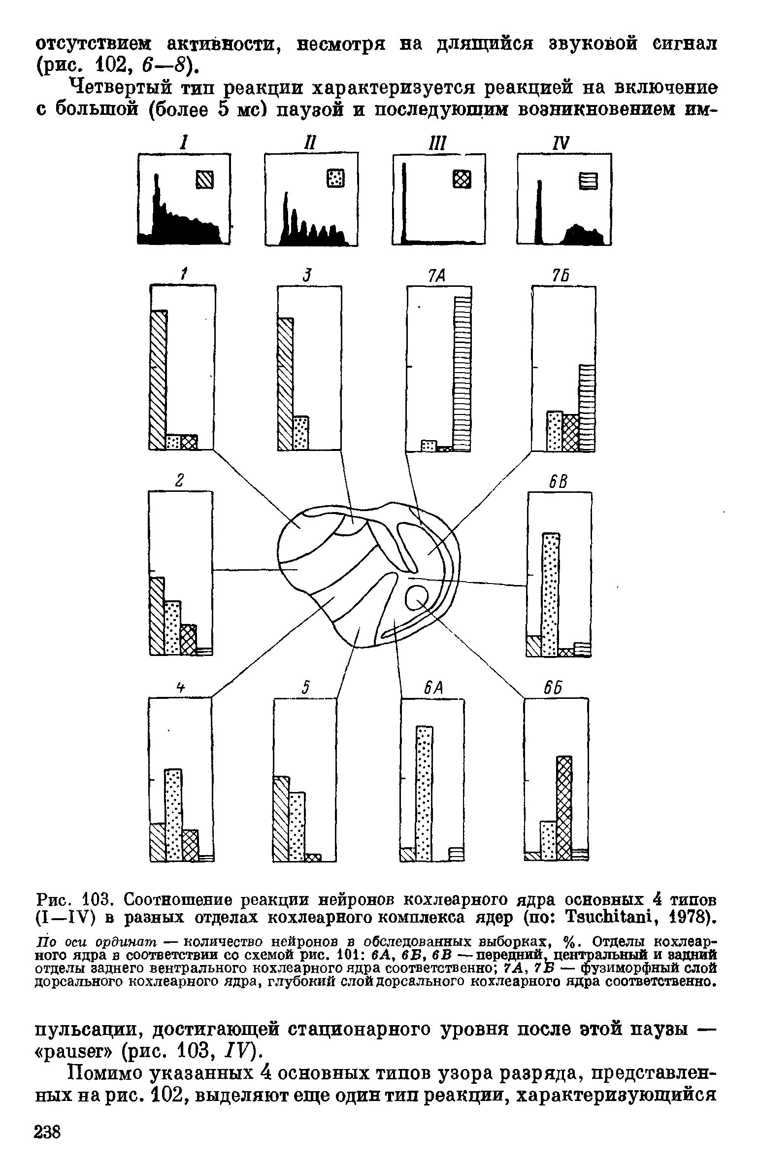 Рис. 103. Соотношение реакции нейронов кохлеарного ядра основных 4 типов (I—IV) в разных отделах кохлеарного комплекса ядер (по Tsu hitani, 1978).
