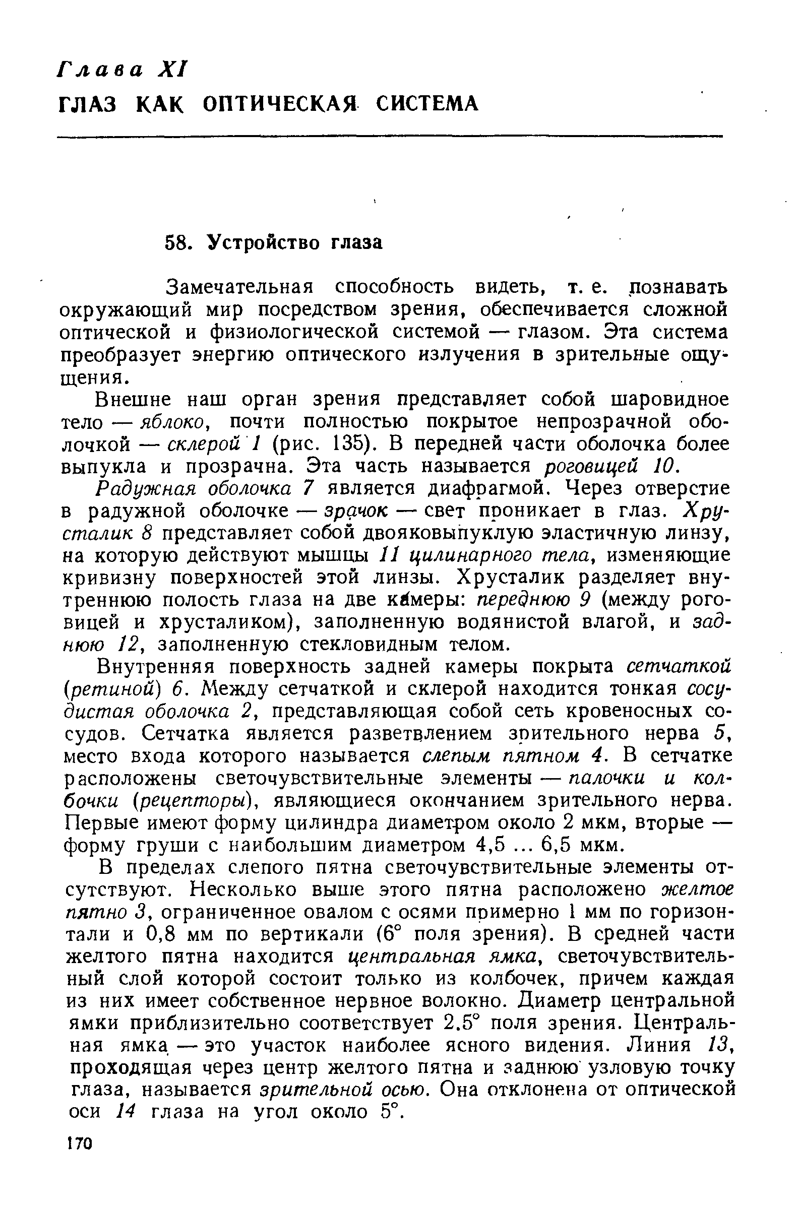 Замечательная способность видеть, т. е. познавать окружающий мир посредством зрения, обеспечивается сложной оптической и физиологической системой — глазом. Эта система преобразует энергию оптического излучения в зрительные ощущения.
