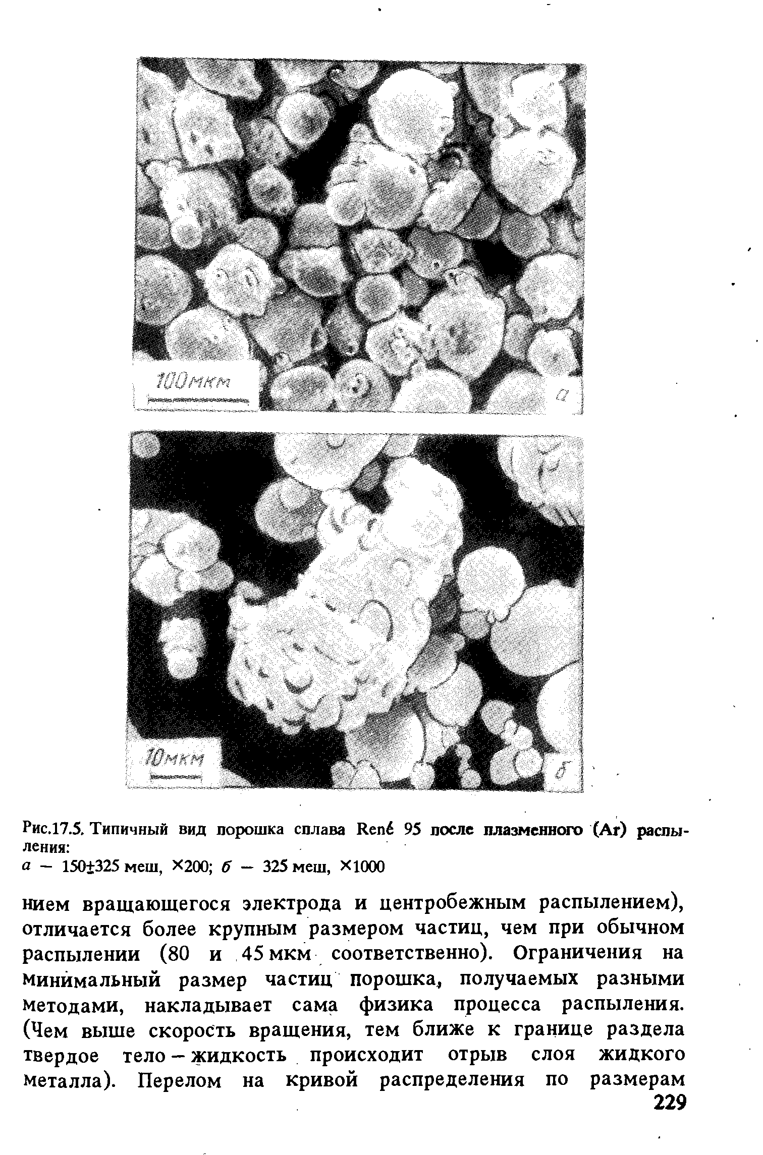 Рис.17.5. Типичный вид порошка сплава Кепё 95 после плазменного (Аг) распыления 
