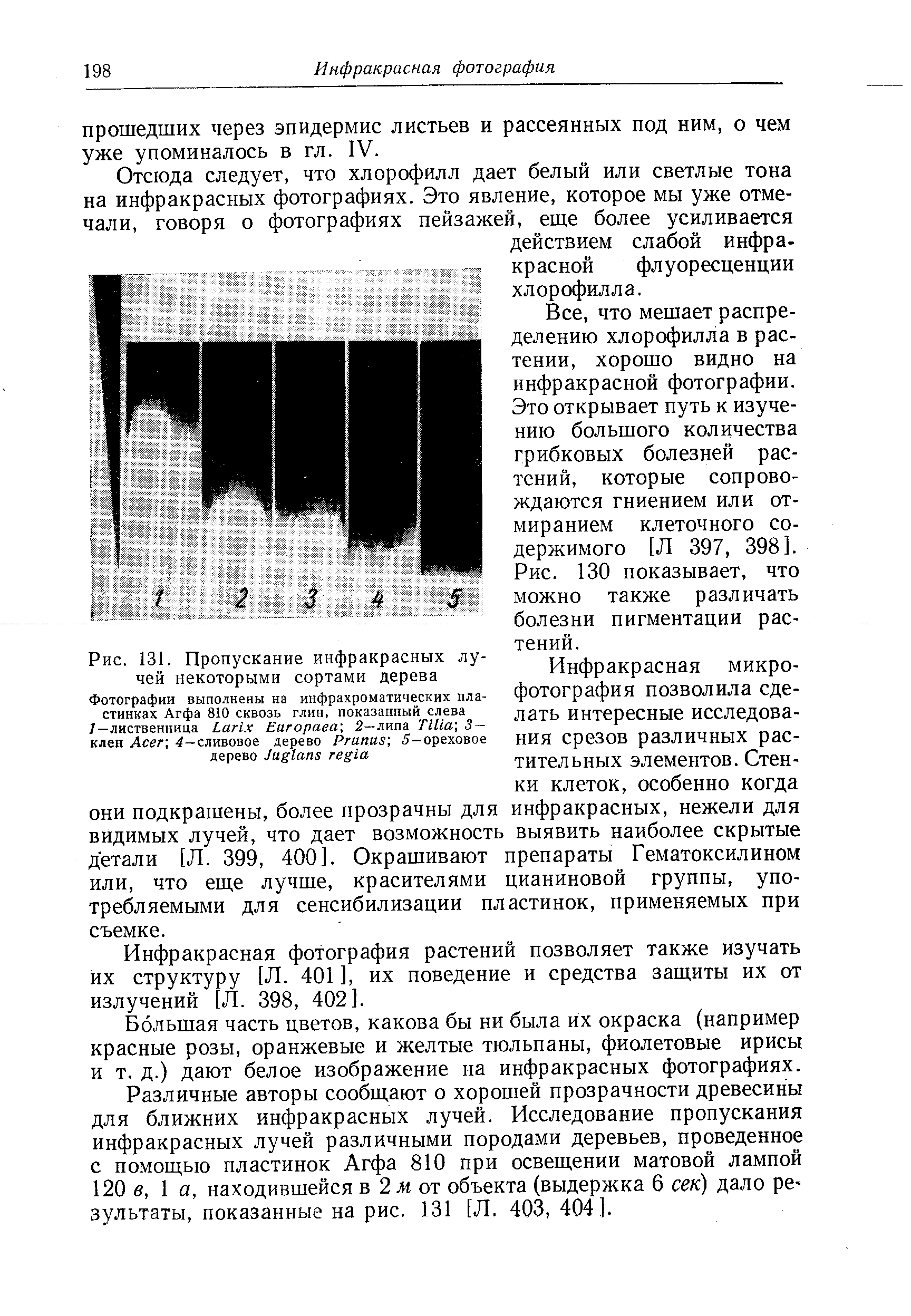 что мешает распре-делению хлорофилла в рас-хорошо видно инфракрасной фотографии. Это открывает путь к изуче-нию большого количества грибковых болезней растений, которые сопровождаются гниением или отмиранием клеточного содержимого [Л 397, 398]. Рис. 130 показывает, что можно также различать болезни пигментации растений.
