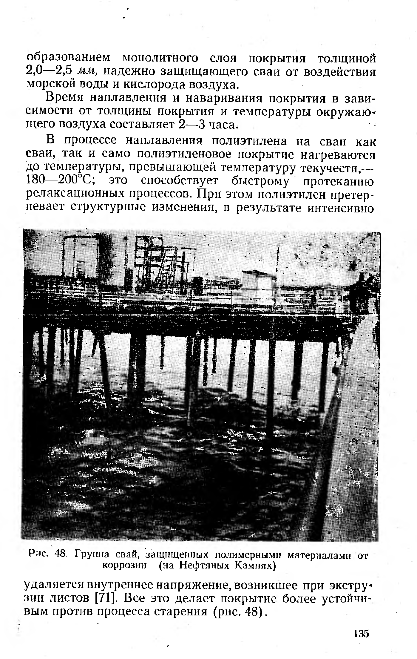 Рис. 48. Группа свай, защищенных полимерными материалами от коррозии (на Нефтяных Камнях)
