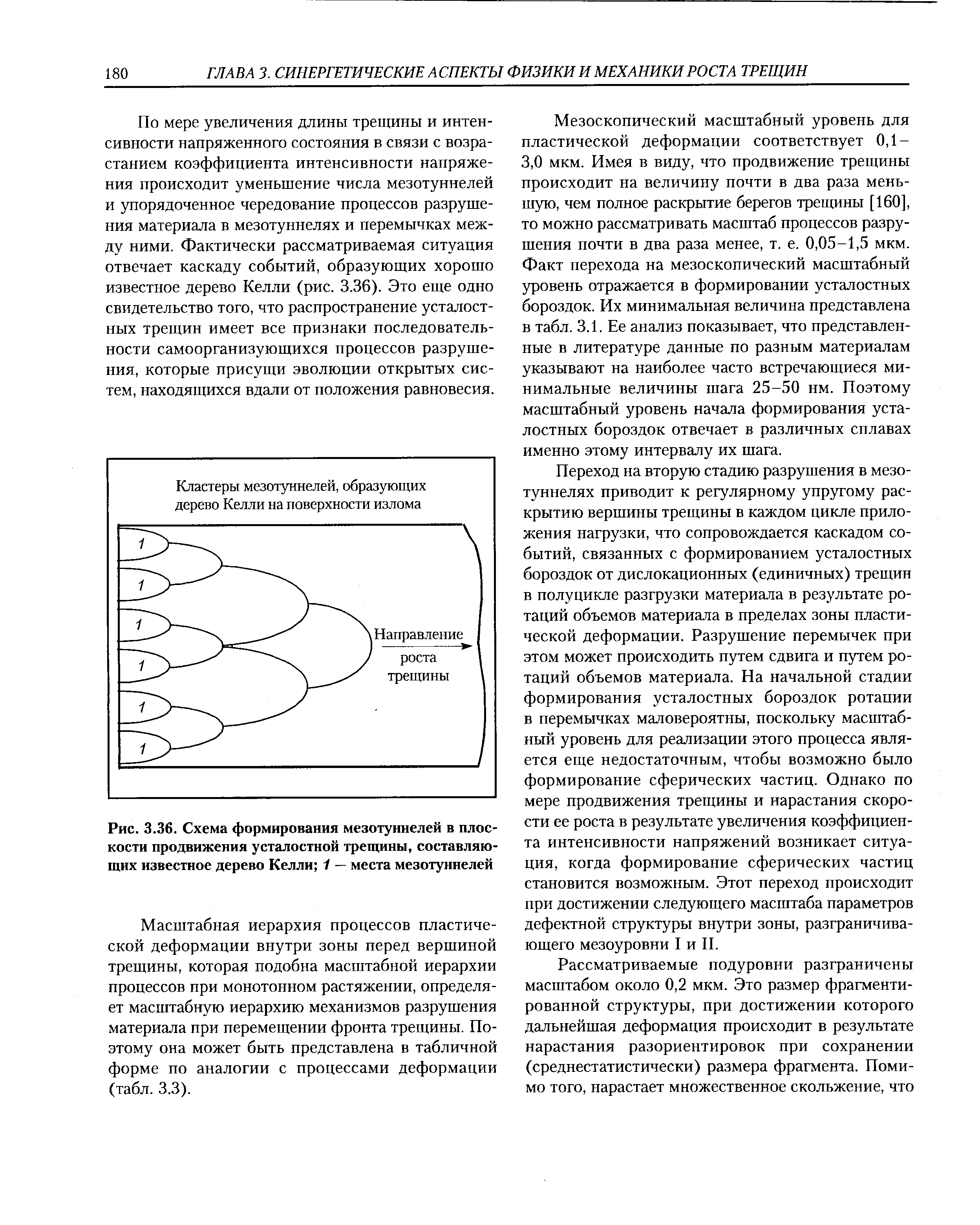 По мере увеличения длины трещины и интенсивности напряженного состояния в связи с возрастанием коэффициента интенсивности напряжения происходит уменьшение числа мезотуннелей и упорядоченное чередование процессов разрушения материала в мезотуннелях и перемычках между ними. Фактически рассматриваемая ситуация отвечает каскаду событий, образующих хорошо известное дерево Келли (рис. 3.36). Это еще одно свидетельство того, что распространение усталостных трещин имеет все признаки последовательности самоорганизующихся процессов разрушения, которые присущи эволюции открытых систем, находящихся вдали от положения равновесия.
