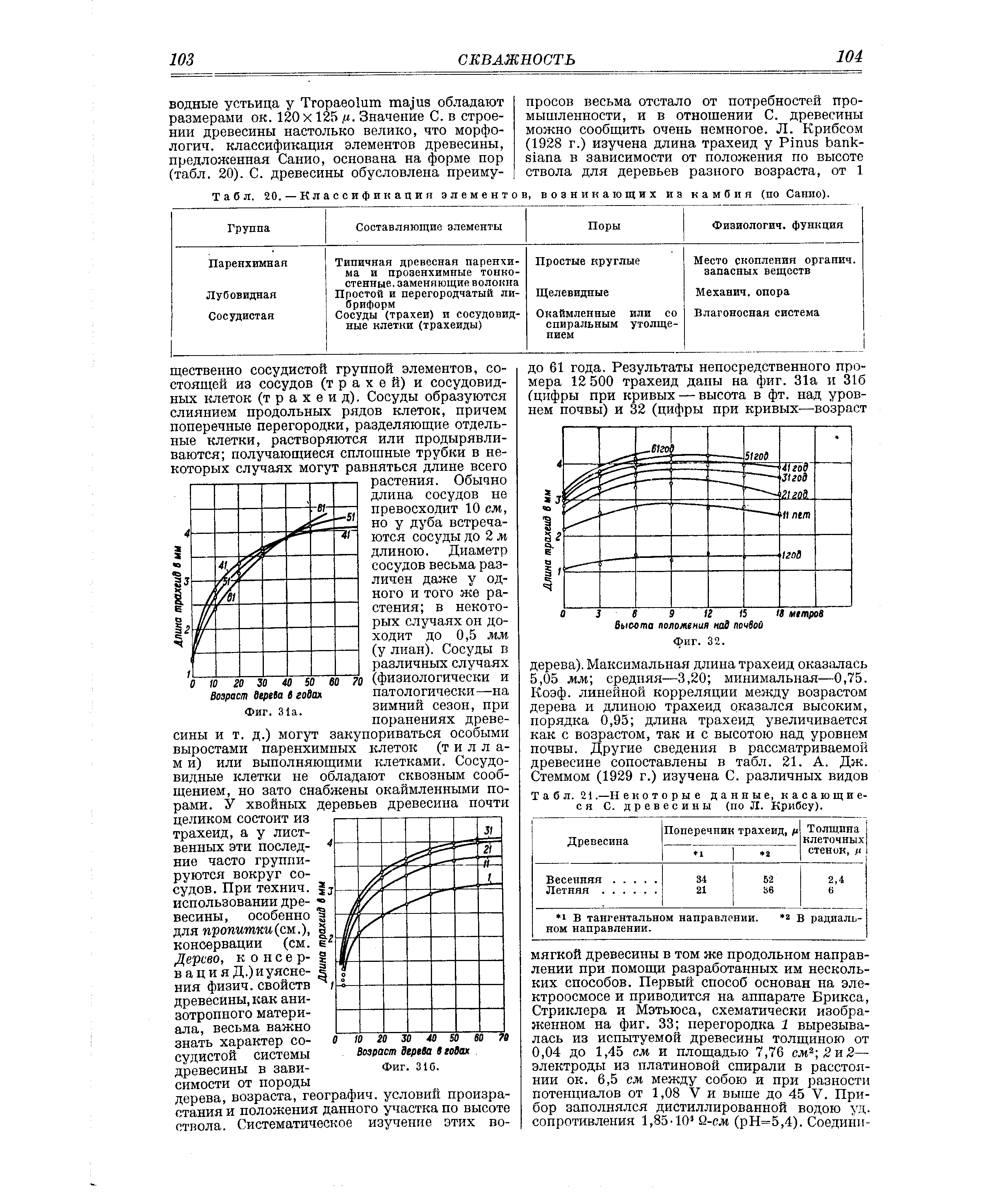 Табл. 20. — <a href="/info/539909">Классификация элементов</a>, возникающих иа камбия (по Санио).
