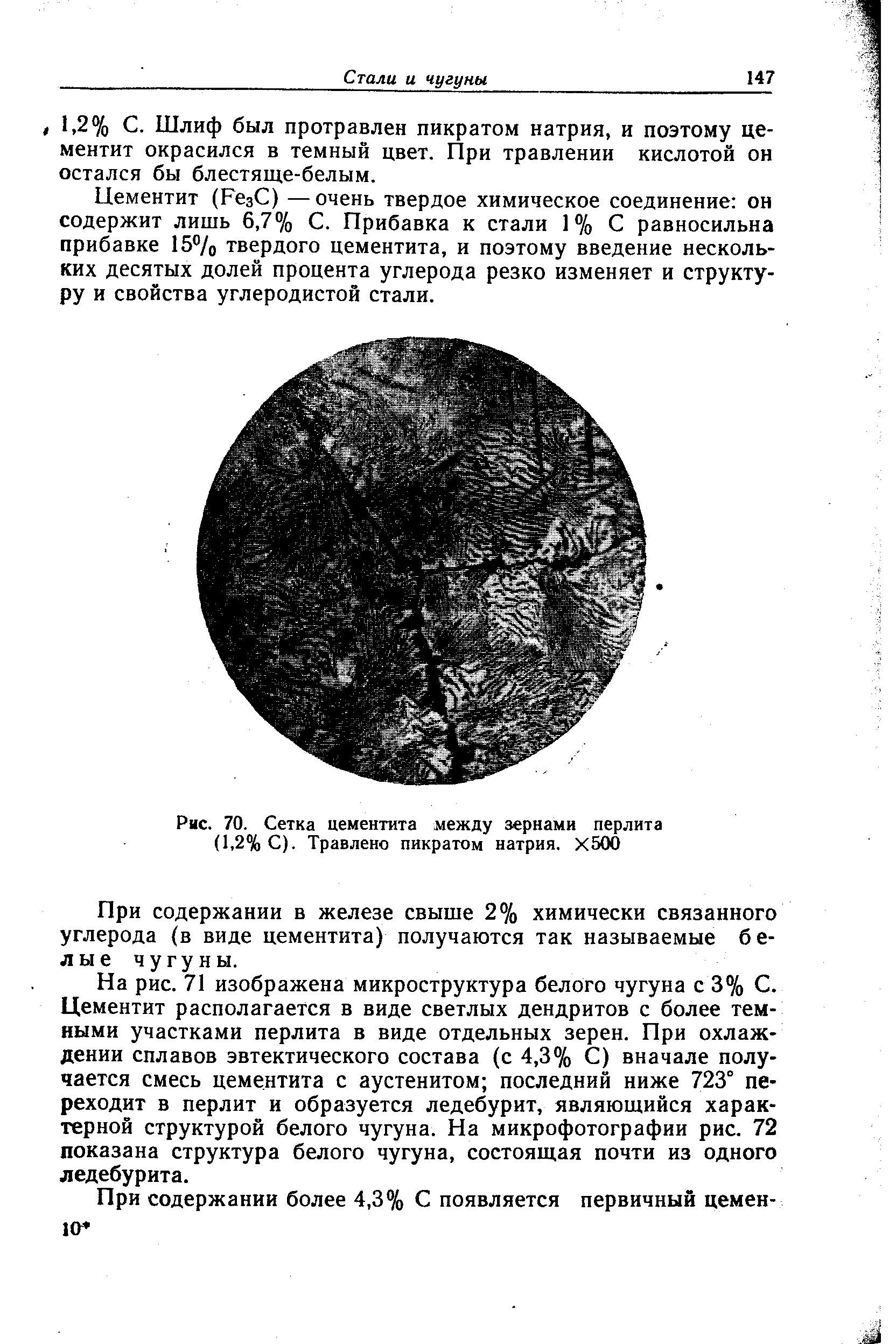 Рис. 70. Сетка цементита между зернами перлита (1,2% С). Травлено пикратом натрия. Х500
