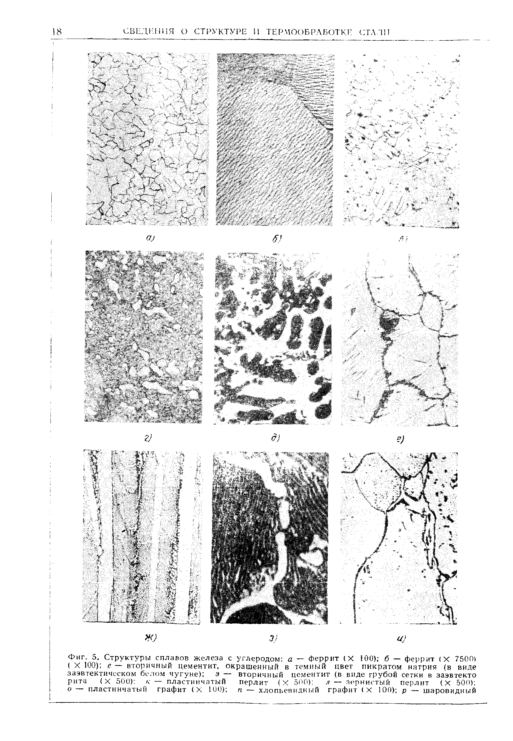 Фиг. 5. <a href="/info/57797">Структуры сплавов</a> железа с углеродом а — феррит (X 100), 6 — феррит (X 750П) X 100) е. — <a href="/info/125247">вторичный цементит</a>, окрашенный в темный цвет пикратом натрия (в виде заэвтектичсском <a href="/info/1841">белом чугуне</a>) з — <a href="/info/125247">вторичный цементит</a> (в виде <a href="/info/25480">грубой сетки</a> в заэвтекто рита (X 5001-, к — <a href="/info/244075">пластинчатый перлит</a> (X 500) а — зспнисты й перлит (X 500) о — <a href="/info/1480">пластинчатый графит</a> (X 100) п — <a href="/info/1482">хлопьевидный графит</a> (X 100) р — шаровидный
