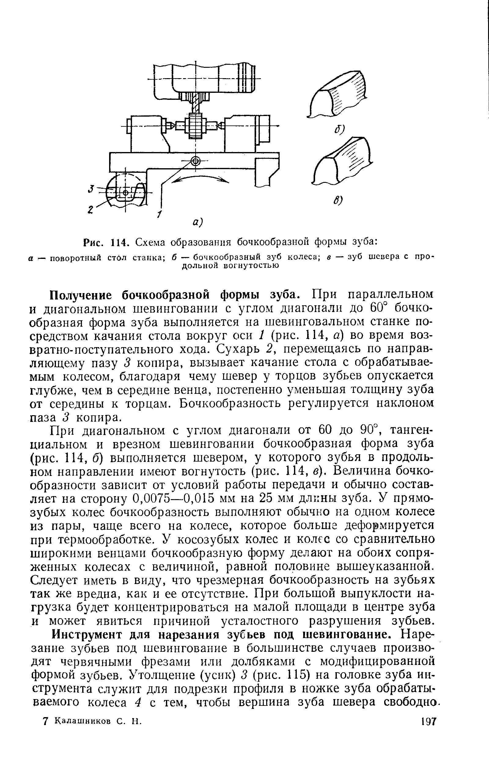 Рис. 114. Схема образования бочкообразной формы зуба 
