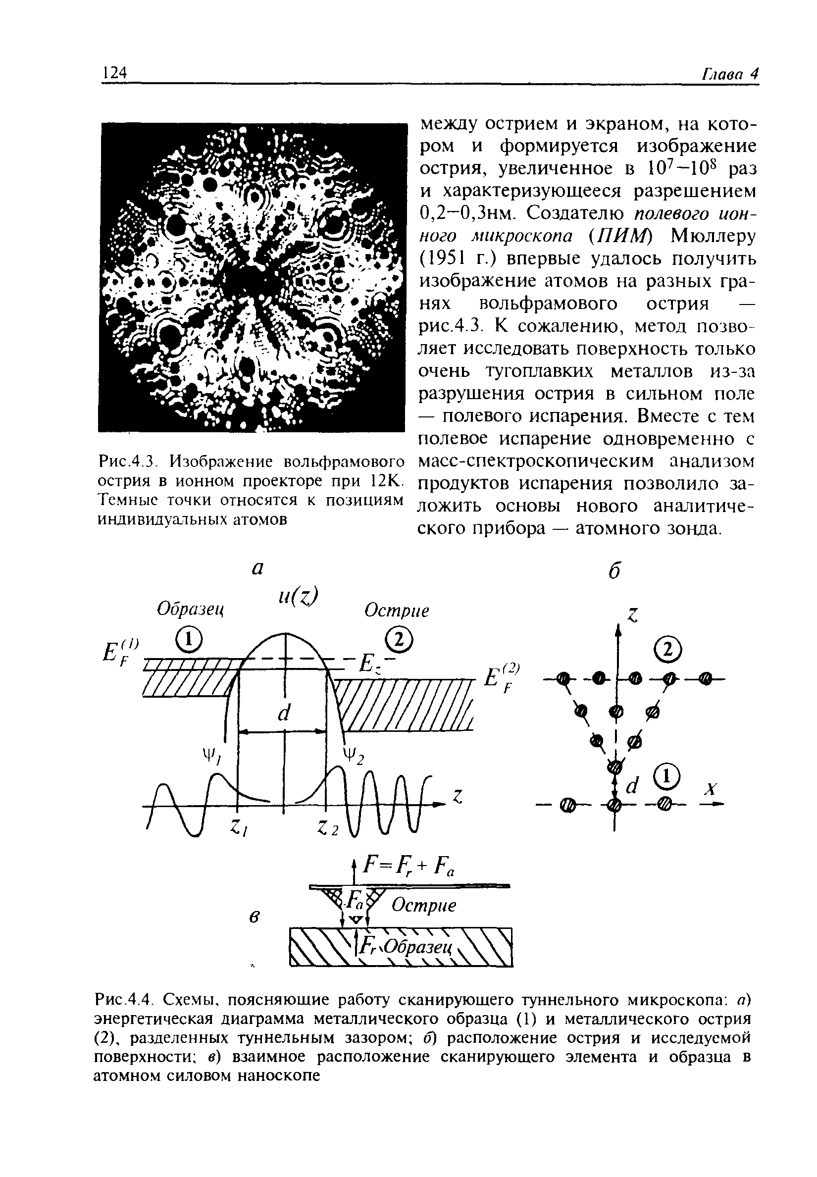 Рис.4.3. Изображение вольфрамового острия в ионном проекторе при 12К. Те.мныс точки относятся к позициям индивидуатьных атомов
