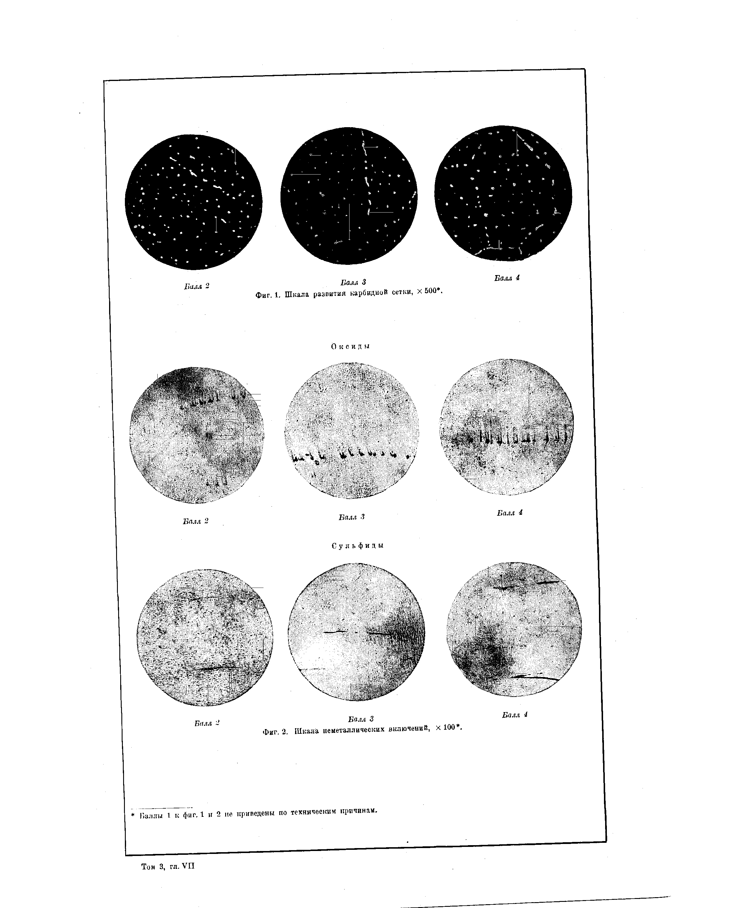 Фиг. 1, Шкала развития карбидной сетки, х 500. 
