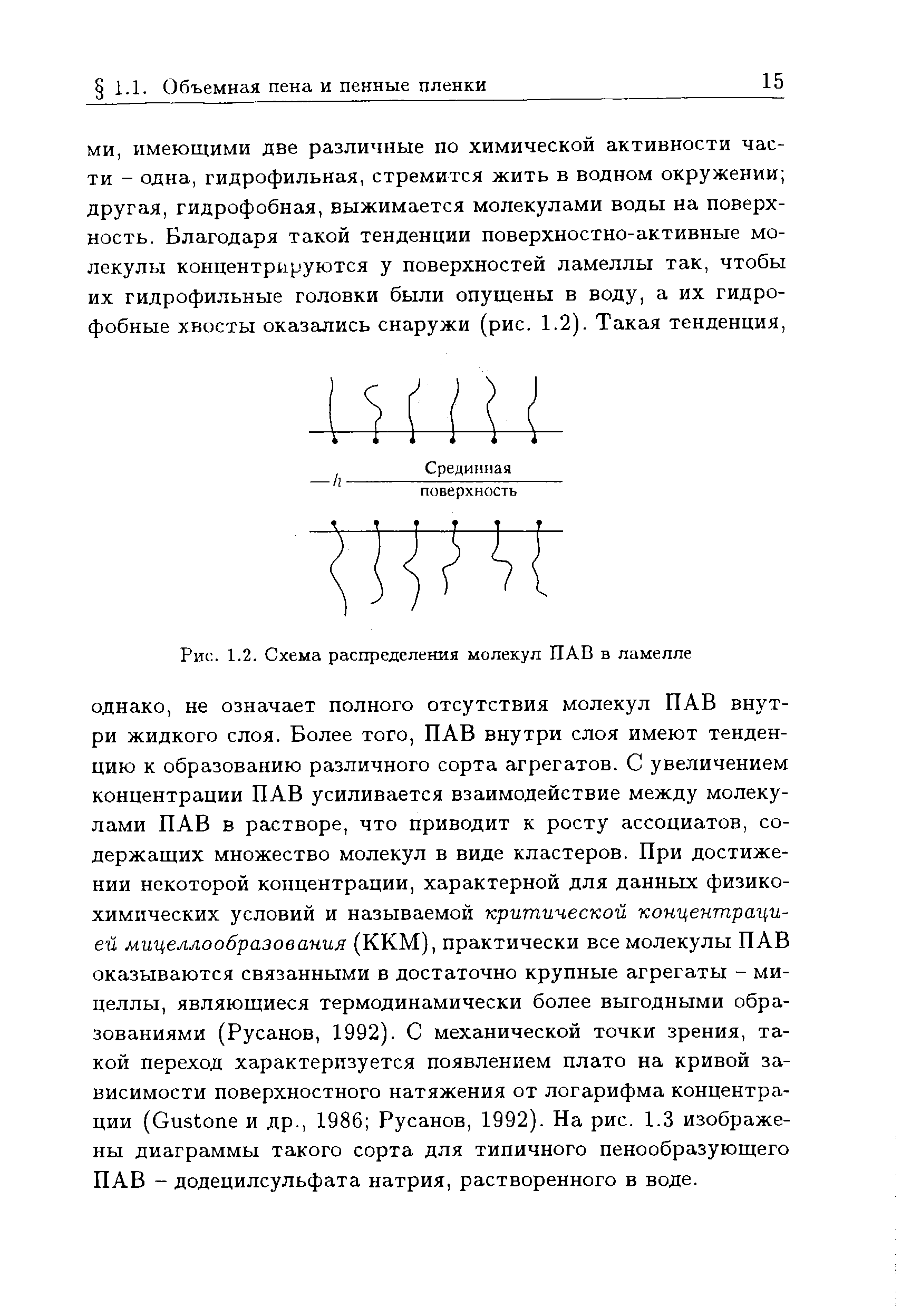 Рис. 1.2. Схема распределения молекул ПАВ в ламелле
