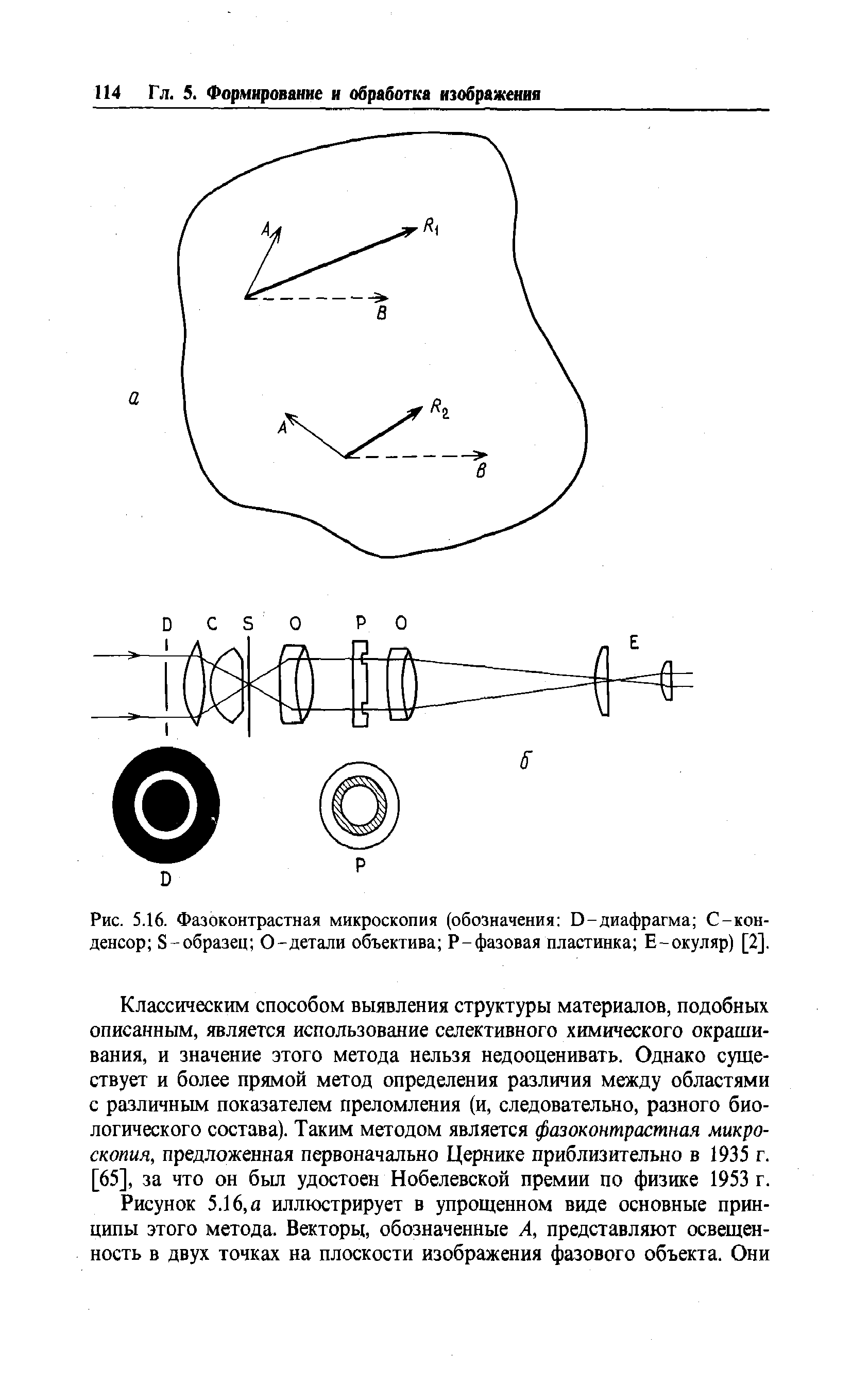 Рис. 5.16. Фазоконтрастная микроскопия (обозначения D-диафрагма С-кон-денсор S-образец 0-детали объектива Р-фазовая пластинка Е-окуляр) [2].
