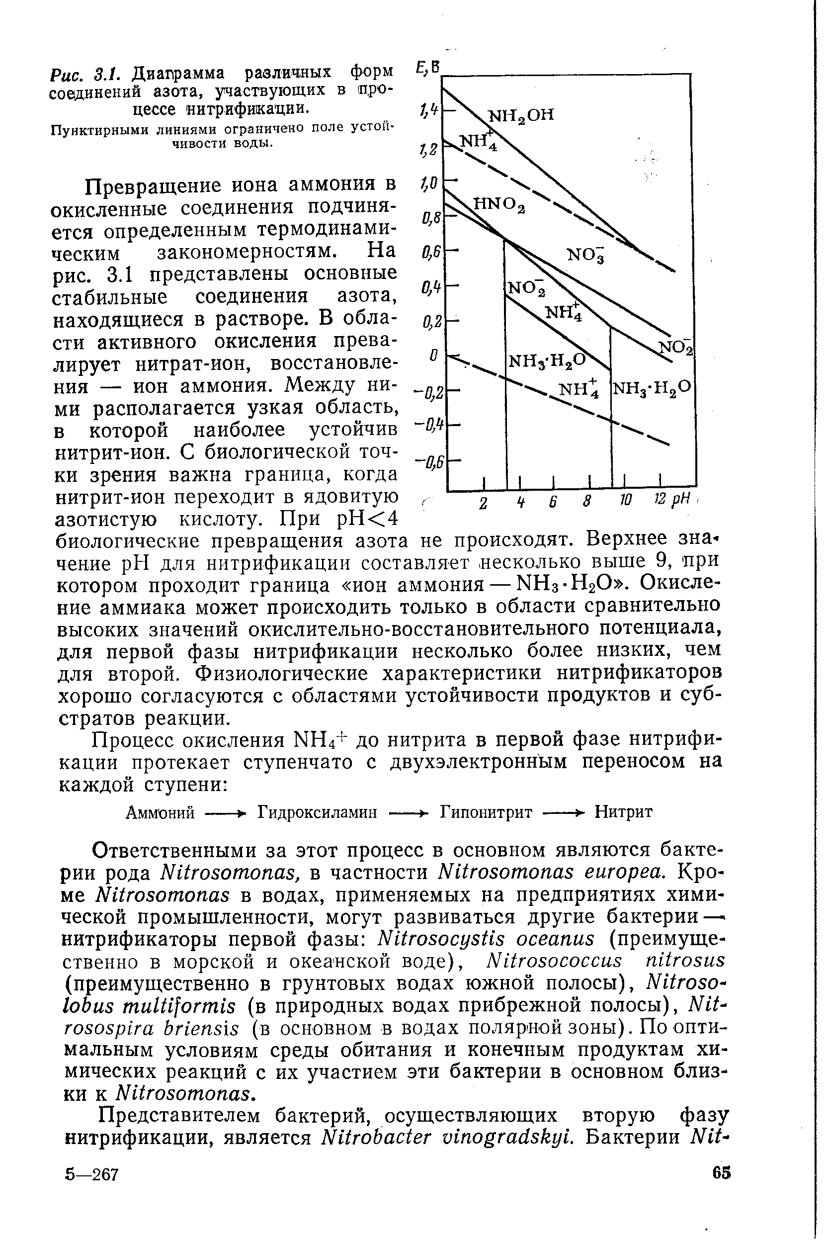 Рис. 3.1. Диалрамма различных форм t в соединений азота, участвующих в процессе нитрификации.
