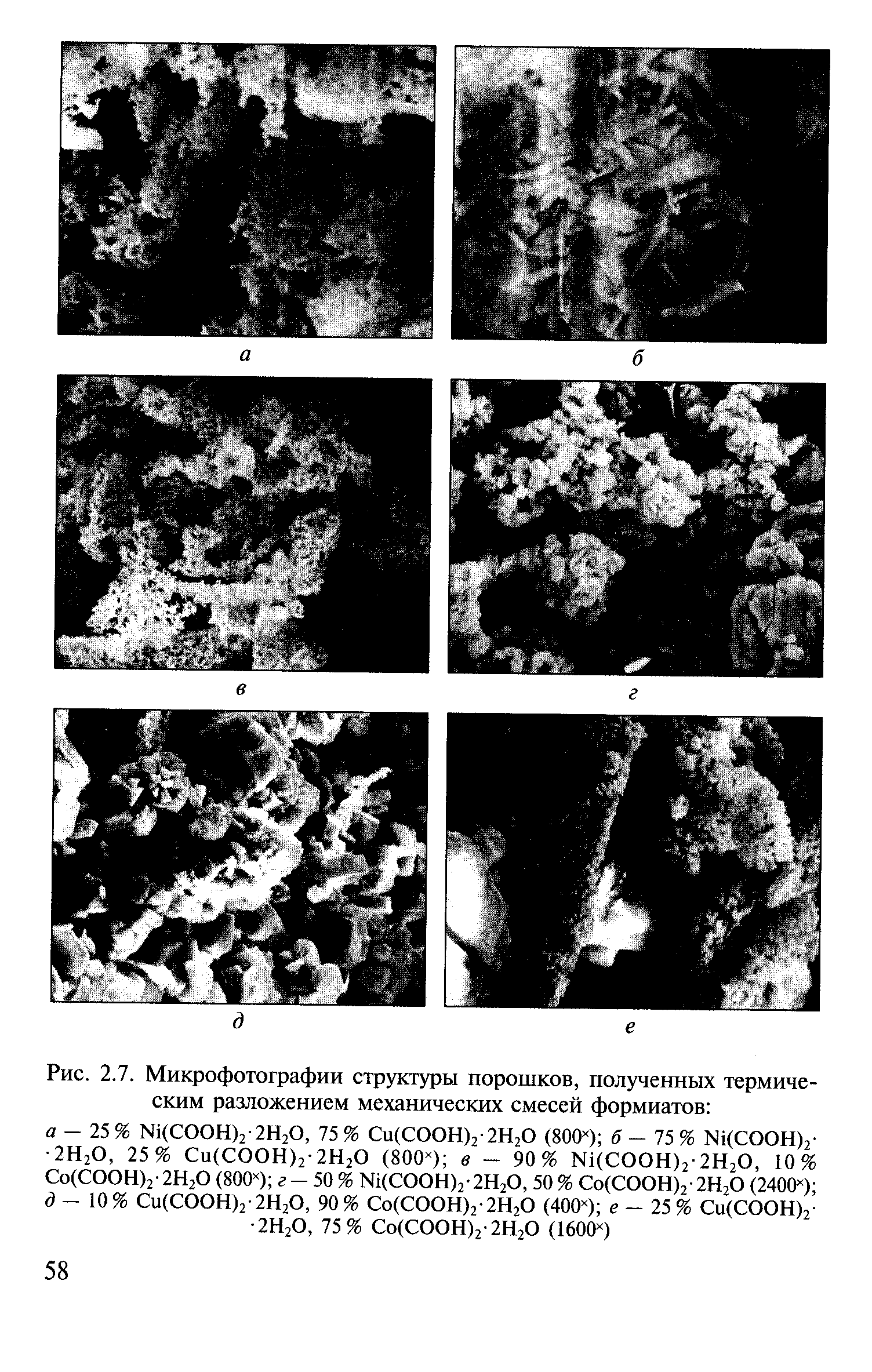 Рис. 2.7. Микрофотографии структуры порошков, полученных <a href="/info/218588">термическим разложением</a> механических смесей формиатов 

