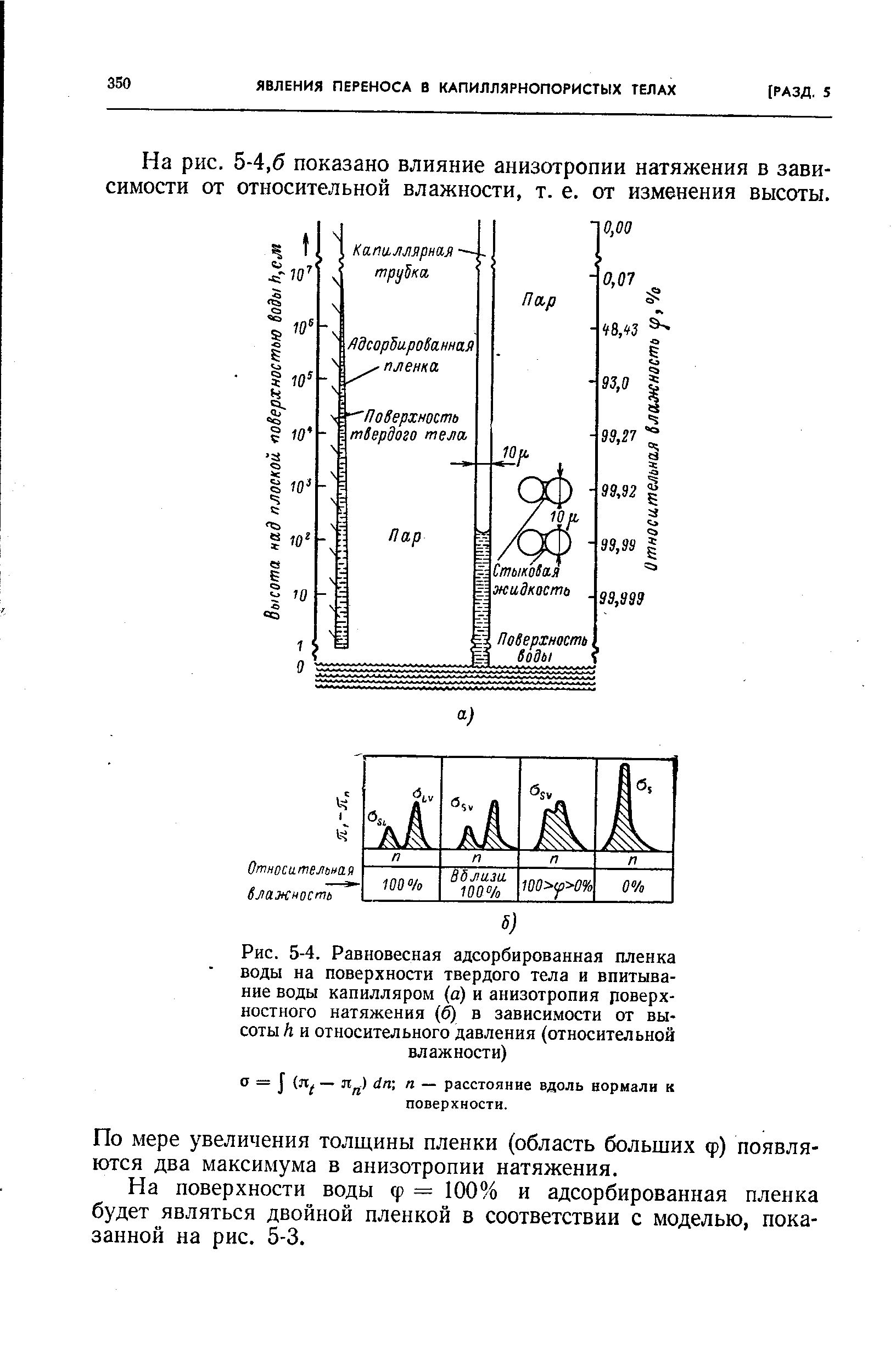 Рис. 5-4. Равновесная адсорбированная пленка воды на поверхности <a href="/info/8211">твердого тела</a> и впитывание воды капилляром (а) и анизотропия <a href="/info/12649">поверхностного натяжения</a> (б) в зависимости от высоты Л и относительного давления (относительной влажности)
