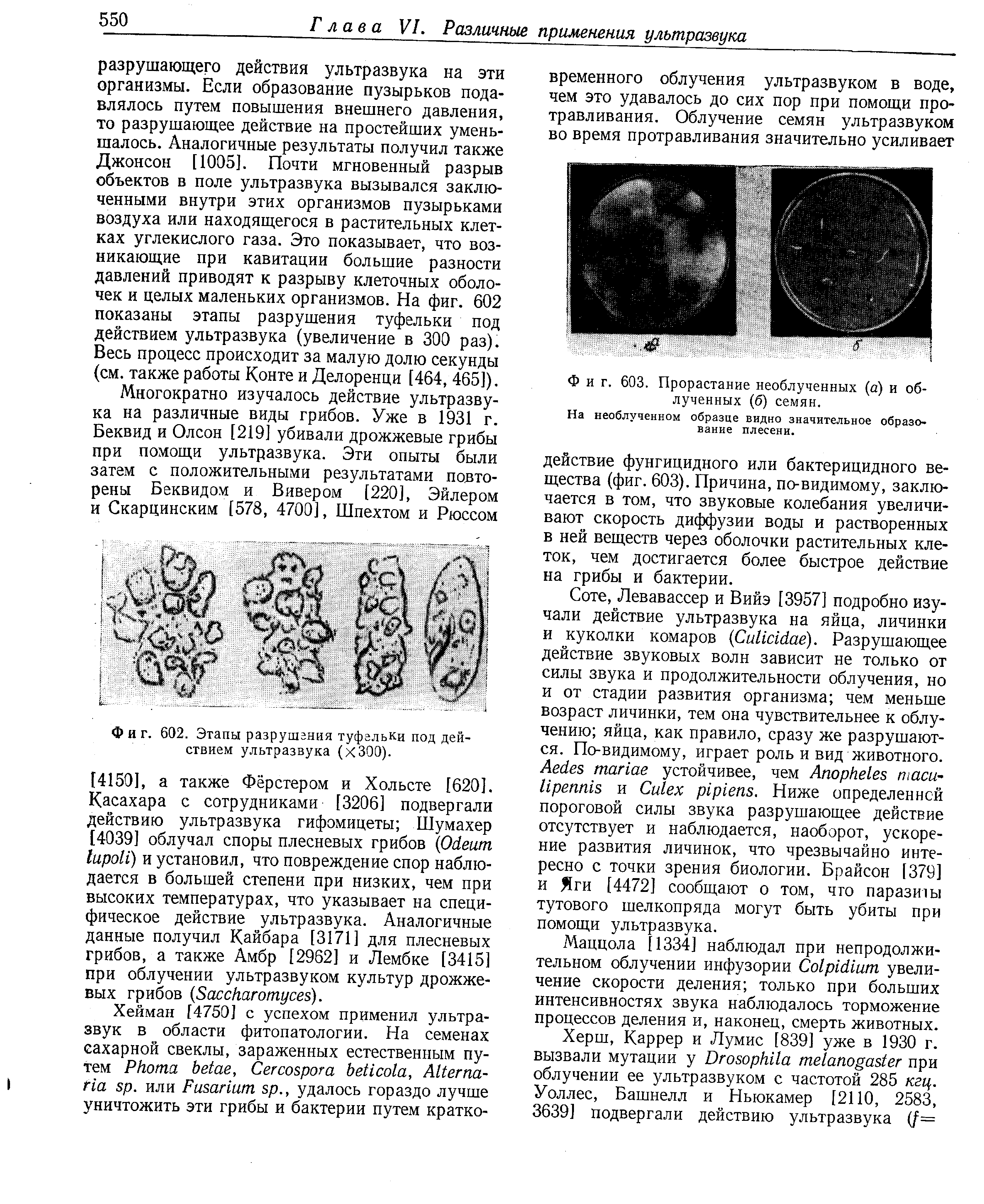 Фиг. 603. Прорастание необлученных (а) и облученных (б) семян.
