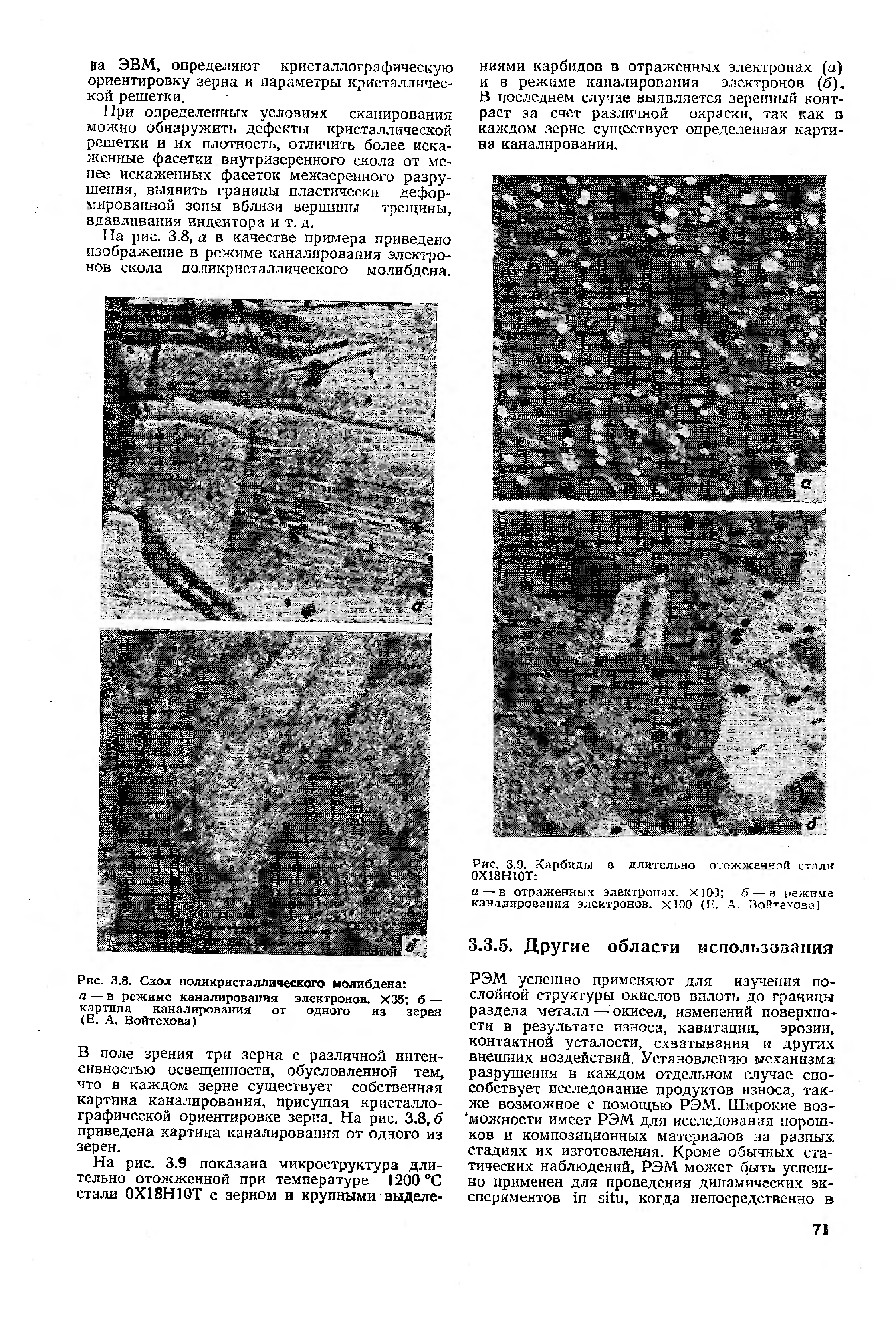 Рис. 3.8. Скол поликристаллического молибдена а — в режиме каналировавия электронов. Х35 б — картина каналирования от одного из зерен (Е. А. Войтехова)
