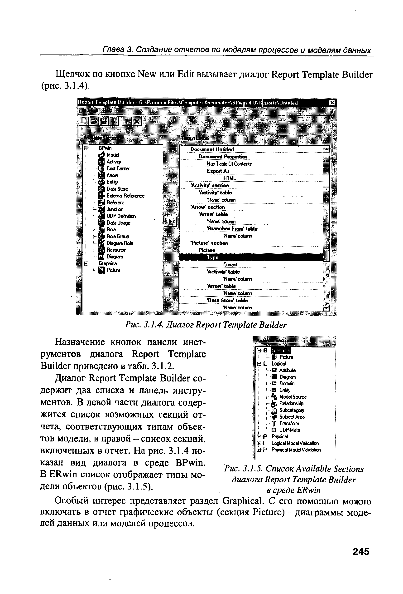 Особый интерес представляет раздел Graphi al. С его помощью можно включать в отчет графические объекты (секция Pi ture) - диаграммы моделей данных или моделей процессов.
