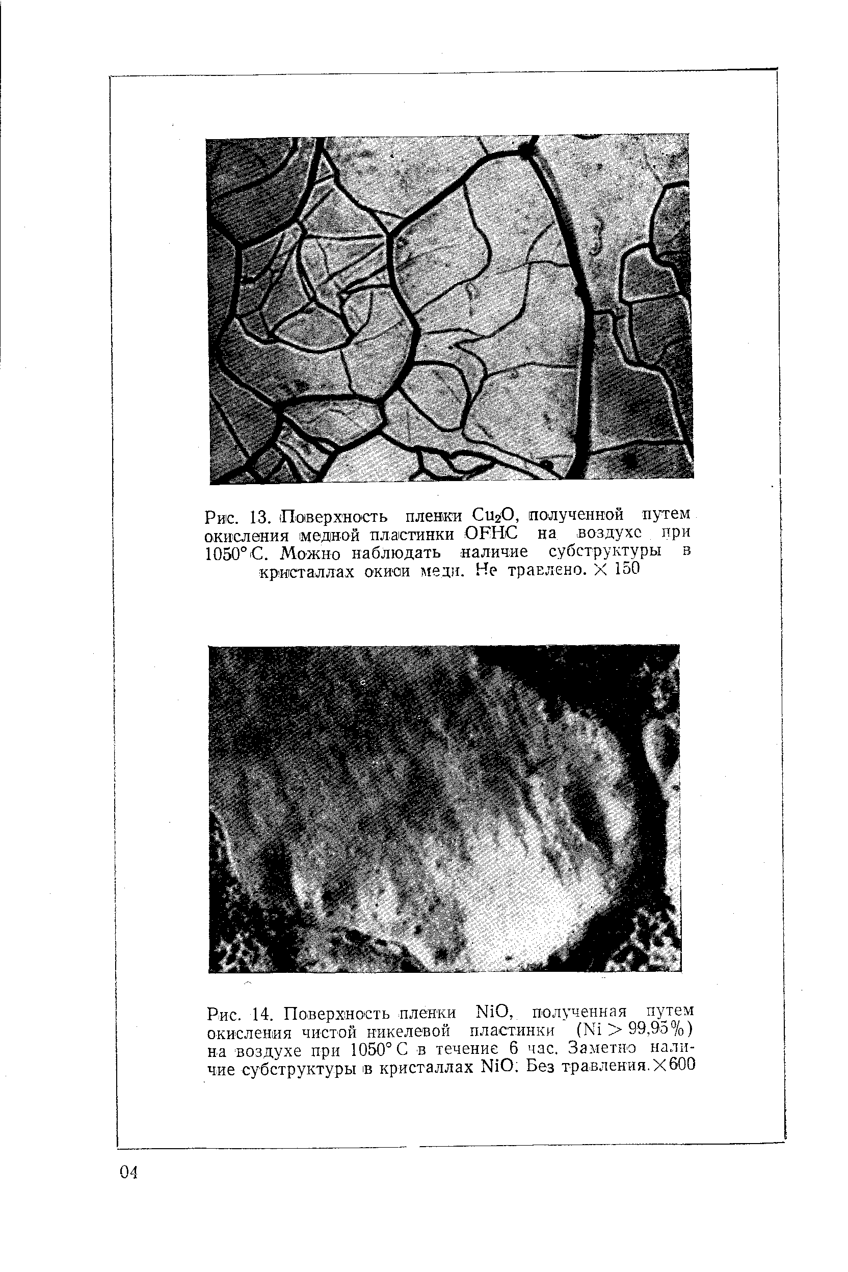 Рис. 13. (Поверхность плевки СигО, полученной путем окисления медной пластинки OFH на воздухе при 1050°С. Можно наблюдать наличие субструктуры в кристаллах окнои меди. Не травлено. X 150
