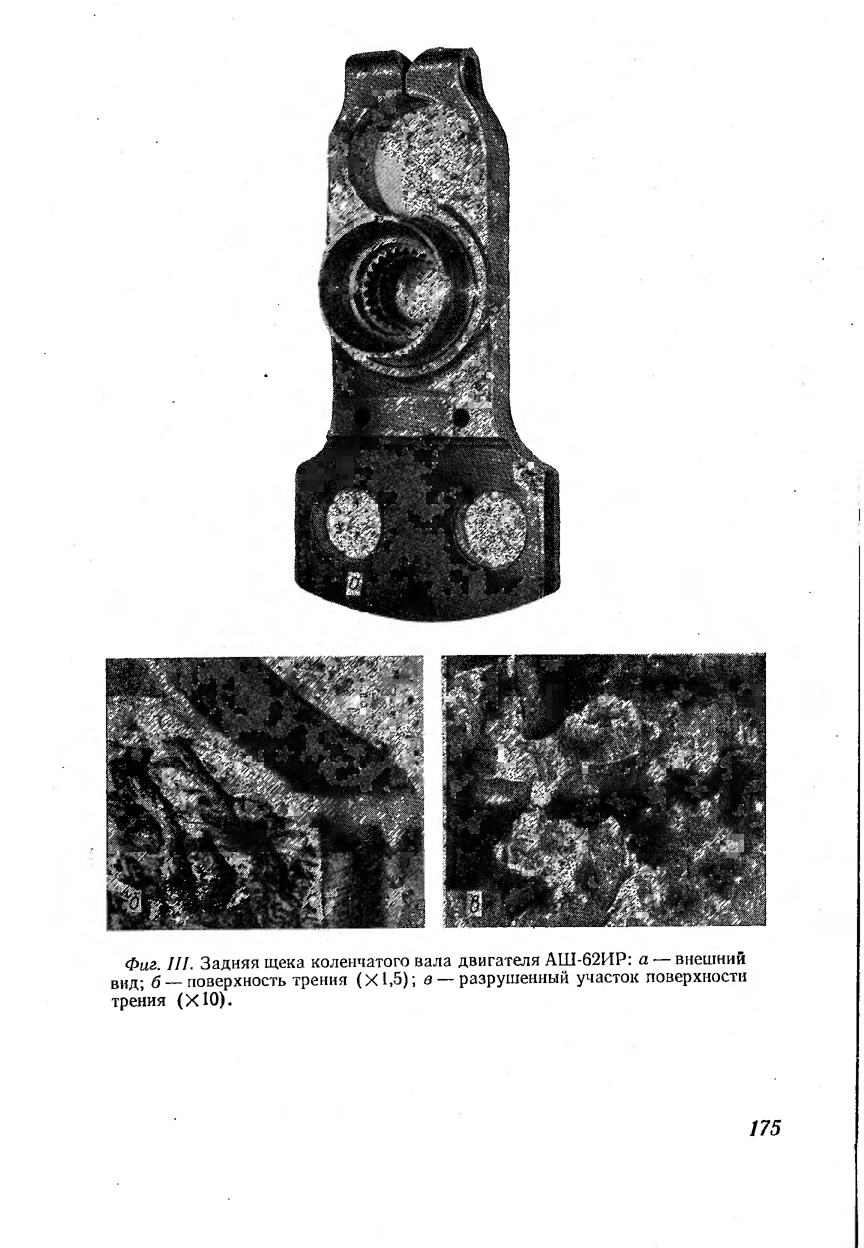 Фиг. III. Задняя щека коленчатого вала двигателя АШ-62ИР а — внешний вид б — <a href="/info/183977">поверхность трения</a> (Х1,5) а — разрушенный участок поверхности трения (ХЮ).